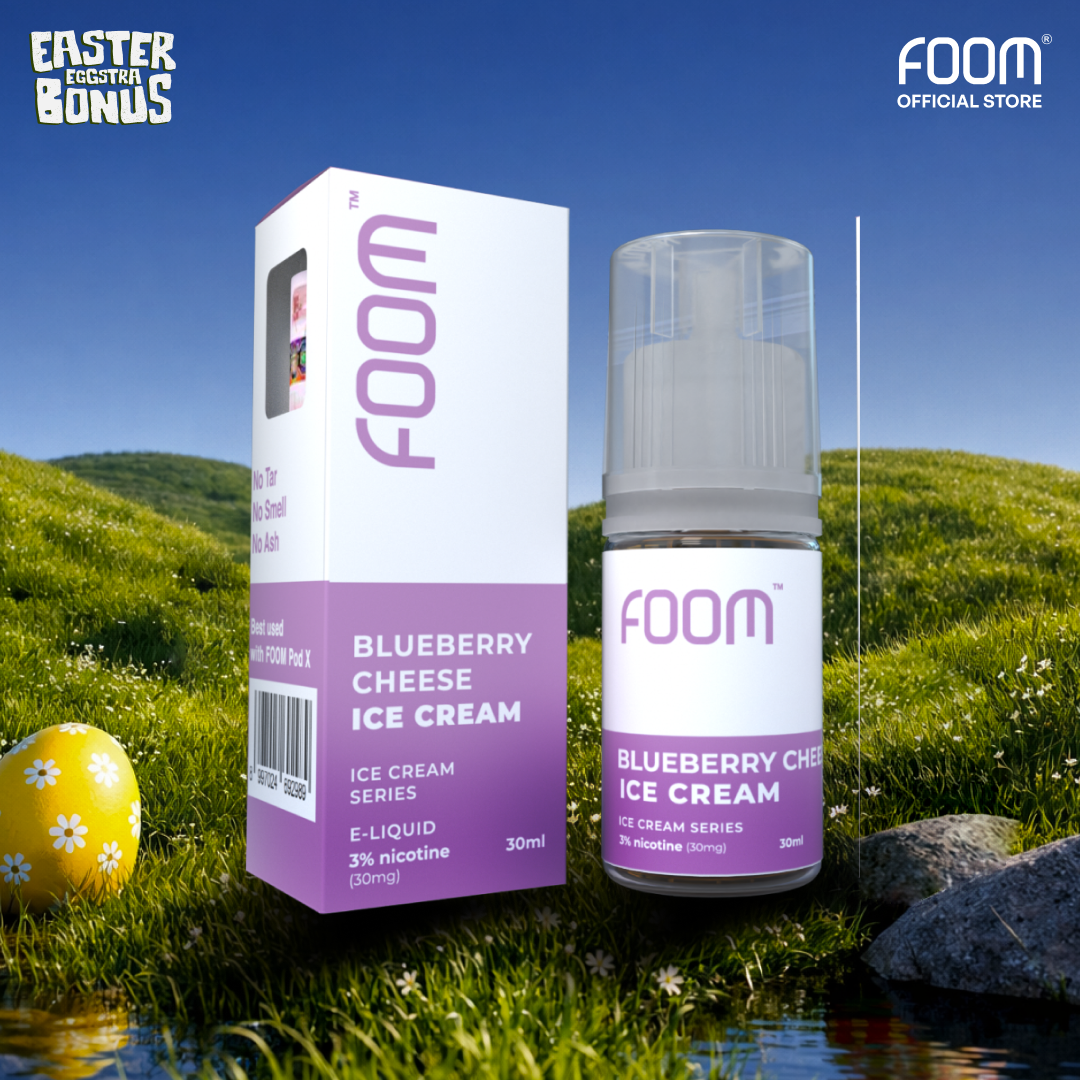 Blueberry Cheese Ice Cream - Ice Cream Series